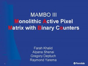 MAMBO III Monolithic Active Pixel Matrix with Binary