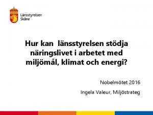 Hur kan lnsstyrelsen stdja nringslivet i arbetet med