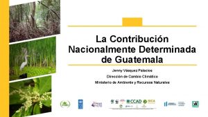 La Contribucin Nacionalmente Determinada de Guatemala Jenny Vsquez