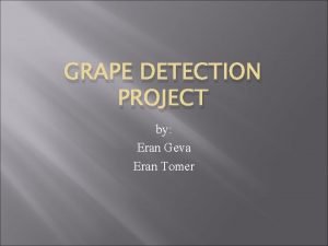 GRAPE DETECTION PROJECT by Eran Geva Eran Tomer