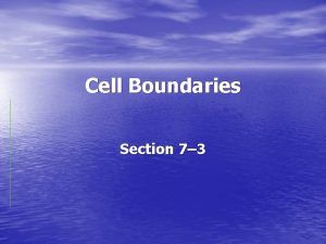 Cell Boundaries Section 7 3 Cell Membrane What