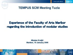 TEMPUS SCM Meeting Tuzla Experience of the Faculty