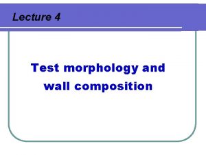 Lecture 4 Test morphology and wall composition Composition