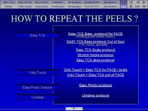 EASY TCA EASY PHYTIC ONLY TOUCH UNIDEEP LIP