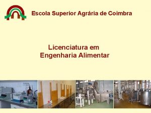 Escola Superior Agrria de Coimbra Licenciatura em Engenharia