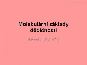 VY32INOVACE04 02 Molekulrn zklady ddinosti Nukleotid DNA RNA