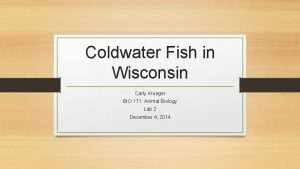 Coldwater Fish in Wisconsin Carly Krueger BIO 171