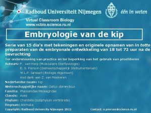 Embryologie van de kip Serie van 15 dias