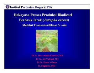 Institut Pertanian Bogor IPB Rekayasa Proses Produksi Biodiesel