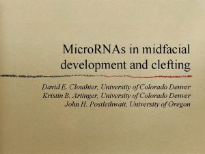 Micro RNAs in midfacial development and clefting David