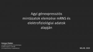 Agyi gnexpresszis mintzatok elemzse m RNS s elektrofiziolgiai