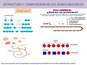 ESTRUCTURA Y COMPOSICIN DE LOS CIDOS NUCLICOS Qu