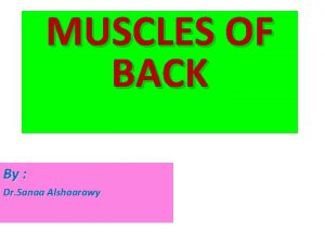 MUSCLES OF BACK By Dr Sanaa Alshaarawy OBJECTIVES