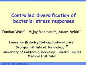 Controlled diversification of bacterial stress responses Denise Wolf