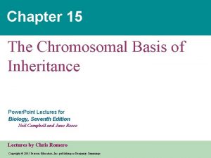 Chapter 15 The Chromosomal Basis of Inheritance Power