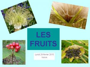 LES FRUITS Lundi 29 fvrier 2015 Voiron Geum