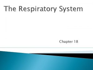 The Respiratory System Chapter 18 Respiratory Operations Pulmonary