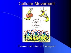 Cellular Movement Passive and Active Transport Passive Transport