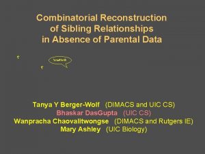 Combinatorial Reconstruction of Sibling Relationships in Absence of