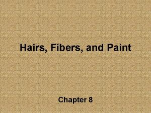Hairs Fibers and Paint Chapter 8 Dermis Contains