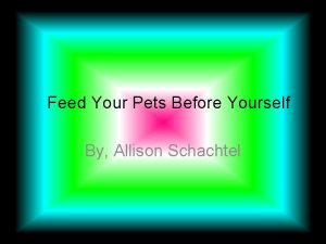 Feed Your Pets Before Yourself By Allison Schachtel