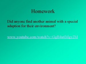 Homework Did anyone find another animal with a