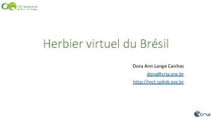 Herbier virtuel du Brsil Dora Ann Lange Canhos