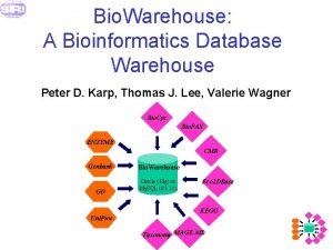 Bio Warehouse A Bioinformatics Database Warehouse Peter D
