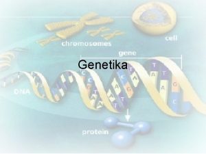 Genetika Genetika znanost o biolokoj varijaciji Humana genetika