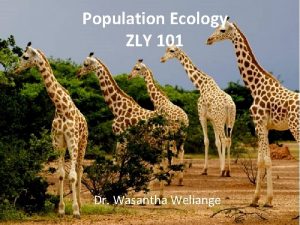 Population Ecology ZLY 101 Dr Wasantha Weliange POPULATION