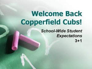 Welcome Back Copperfield Cubs SchoolWide Student Expectations 31