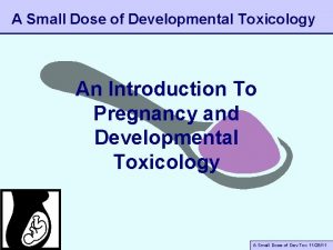 A Small Dose of Developmental Toxicology An Introduction