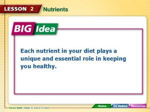 Each nutrient in your diet plays a unique