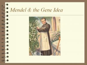 Mendel the Gene Idea Mendelian genetics 4 Character