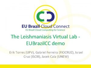 The Leishmaniasis Virtual Lab EUBrazil CC demo Erik