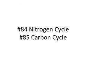 84 Nitrogen Cycle 85 Carbon Cycle Warmup Whats
