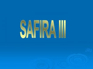 SAFIRA 3 PROJECT Duration 12 months Project description