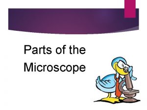 Parts of the Microscope What is a microscope