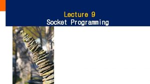 Lecture 9 Socket Programming Socket API API Application