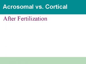 Acrosomal vs Cortical After Fertilization Fertilization Fertilization brings
