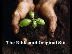 The Bible and Original Sin 1 ORIGINAL SIN