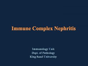 Immune Complex Nephritis Immunology Unit Dept of Pathology