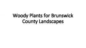 Woody Plants for Brunswick County Landscapes Woody Plants