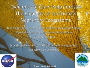 Dynamics of Giant Kelp Forests The Engineer of