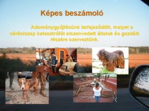 Kpes beszmol Adomnygyjtsnk befejezdtt melyet a vrsiszap katasztrft