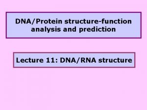 DNAProtein structurefunction analysis and prediction Lecture 11 DNARNA