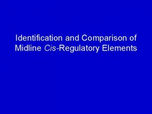 Identification and Comparison of Midline CisRegulatory Elements Does