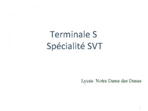 Terminale S Spcialit SVT Lyce Notre Dame des