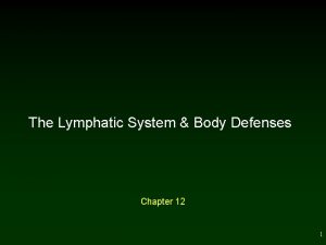 The Lymphatic System Body Defenses Chapter 12 1