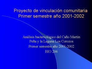 Proyecto de vinculacin comunitaria Primer semestre ao 2001